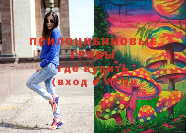 а пвп мука Няндома
